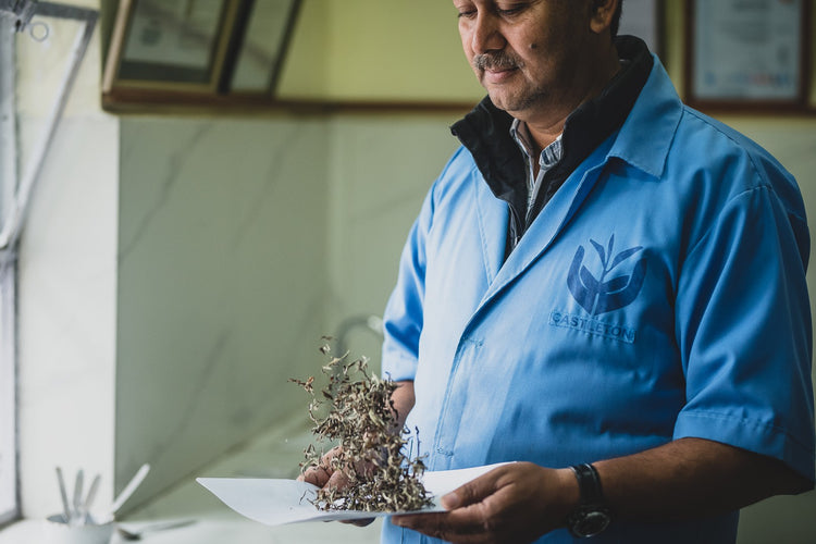 Castleton Tea Estate 2nd Flush